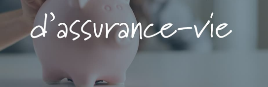 Investir en assurance -vie : les bonnes pratiques