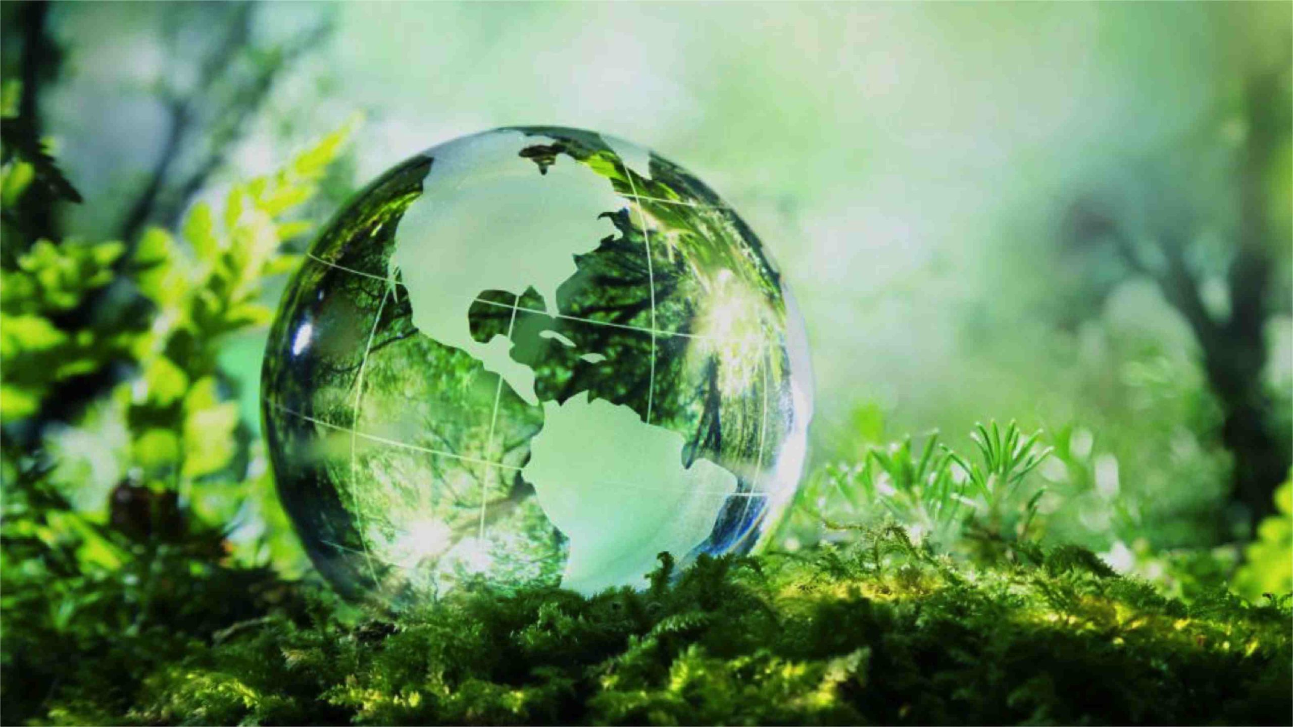 Travaux de transition écologique : où trouver le financement adéquat ?